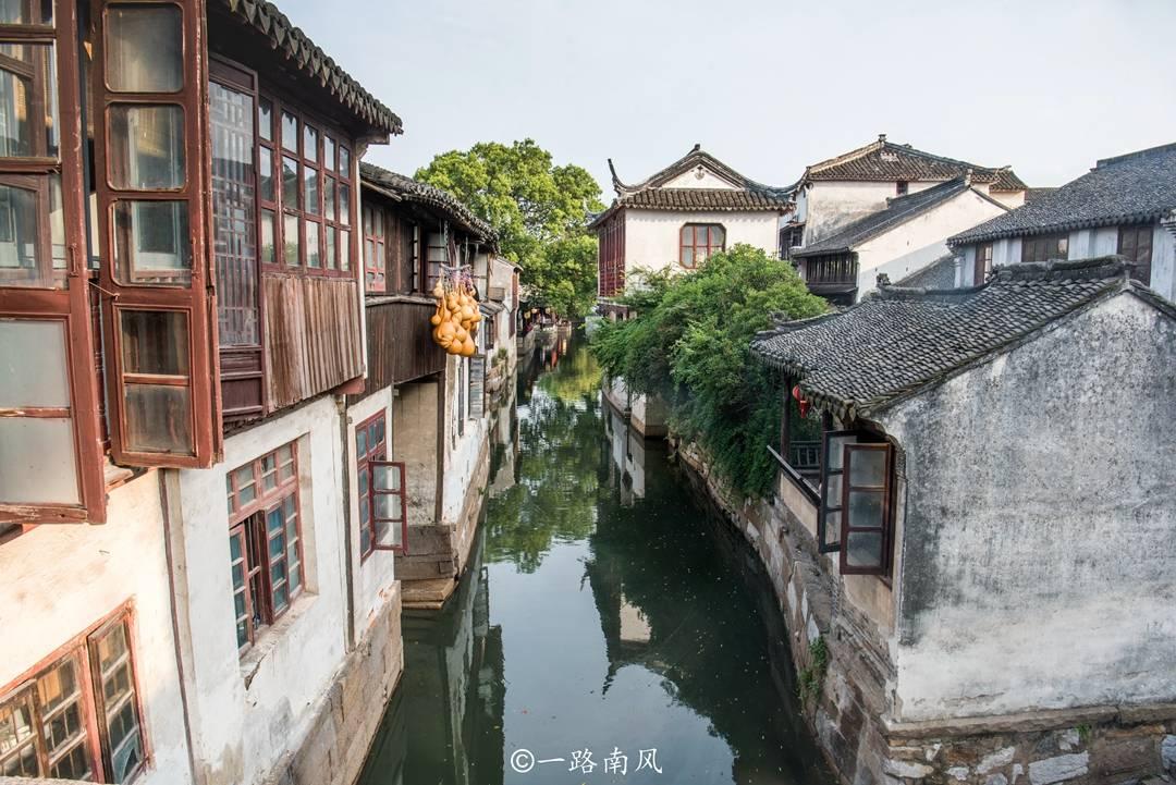 逃离大犀牛出没地